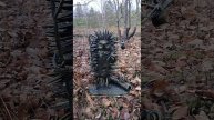 Обзор кованого ежа
