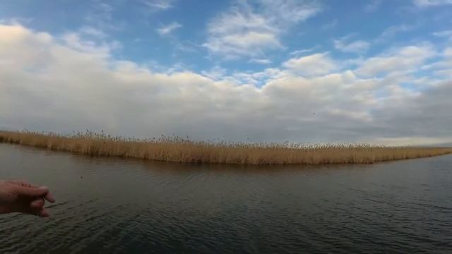 18+! А пацаны палками перед лицом дергают. Рыбалка на Веселовском водохранилище.