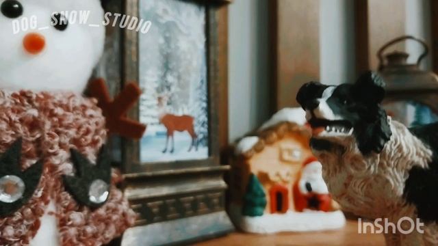 новый шляйхер//что будет на канале//by dog snow studio//