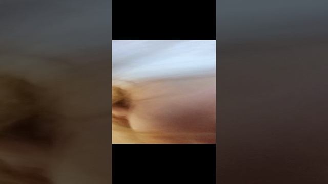 Лера забрала телефон!