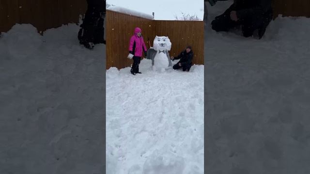 котовик