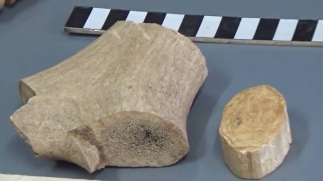 Обработка оленьего рога в мастерской из раскопа по Ленина, 46