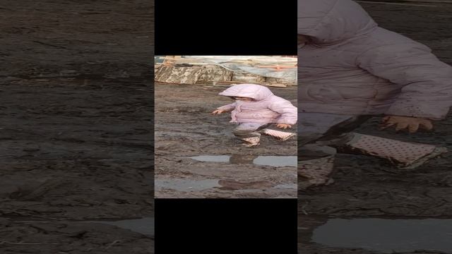 VID_20240324_172826.mp4