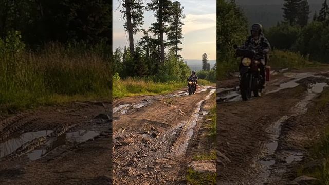Дорога на Шудью - Пендыш
#неспортивныйтурист