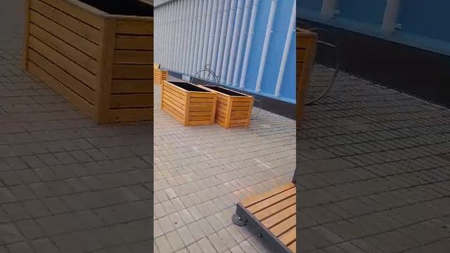 1000072903.mp4