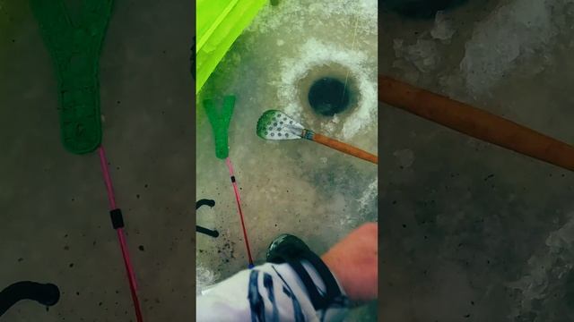 КАК ПОЙМАТЬ ДВА ЕРША#shorts#Сибирь#рыбалка#палатка лотос