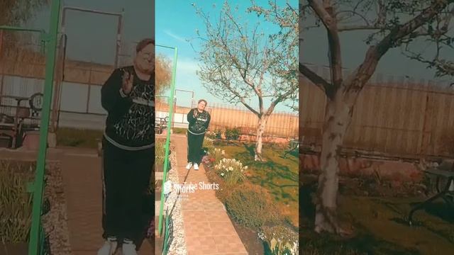 Чуть не сломала куст
