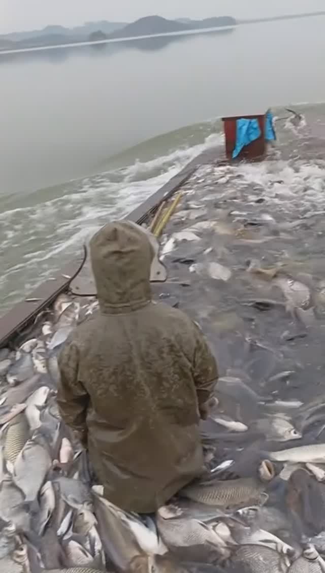 Сходили на рыбалку