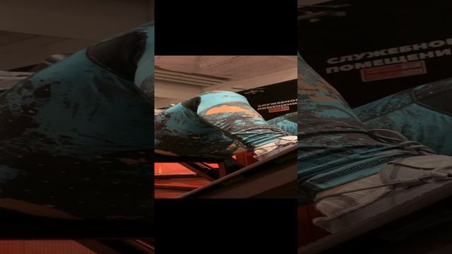 Нога — парный орган опоры и движения человека. Анатомически состоит из трёх основных частей.