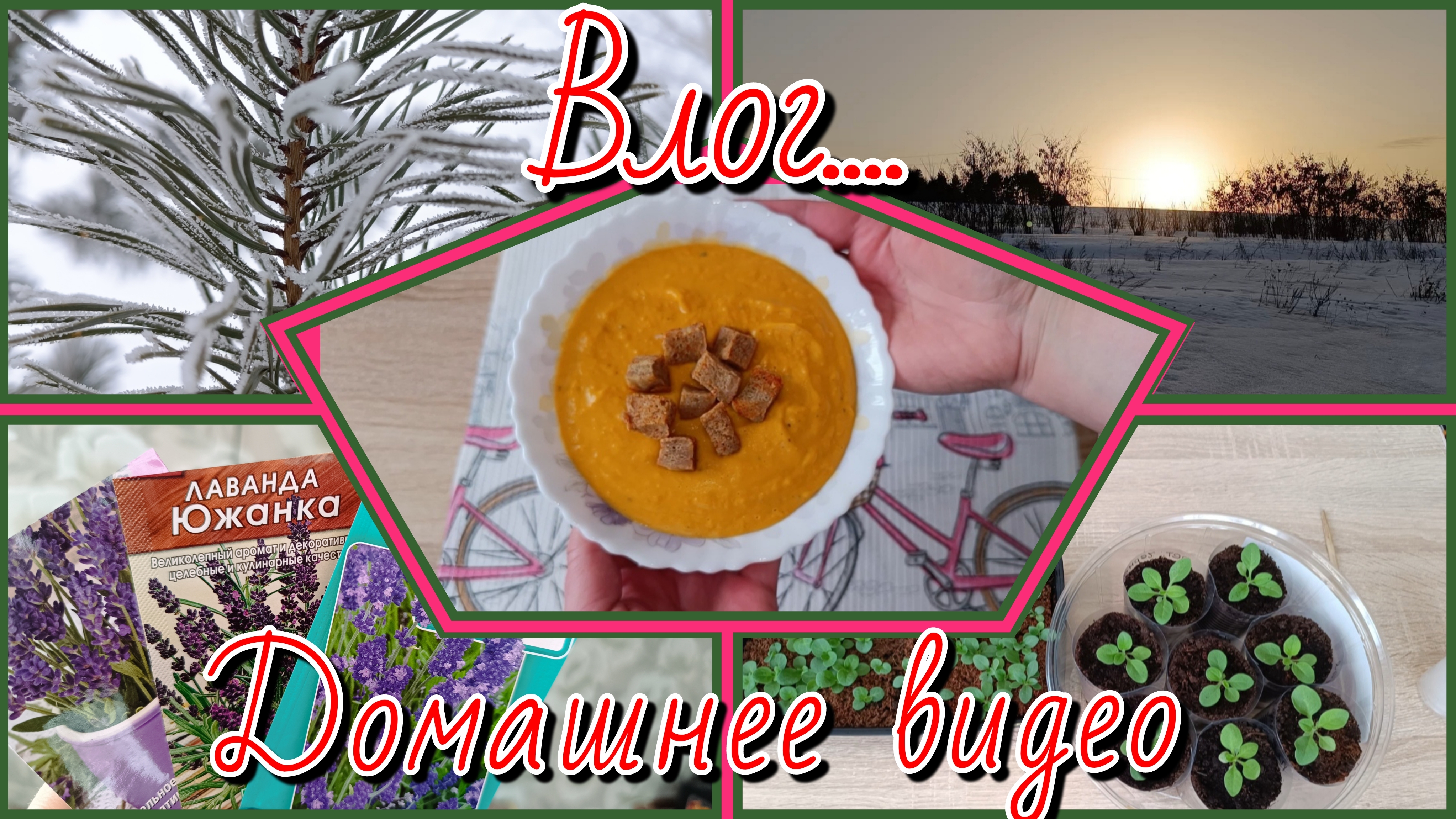 ЗАГОРОДНАЯ ЖИЗНЬ// ПИКИРОВКА ПЕТУНИИ И ЛАВАНДЫ// ТЫКВЕННЫЙ СУП