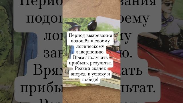 ЗИМНЕЕ СОЛНЦЕСТОЯНИЕ🌍