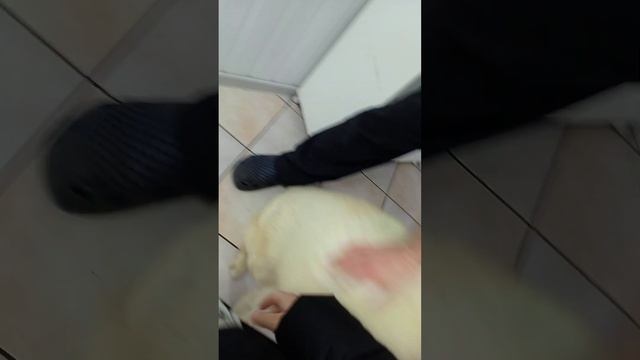 назначают операцию по онкологии Еве
