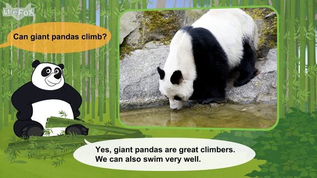 Meet the Animals 26_ Giant Panda _ Level 2 _ By Little Fox