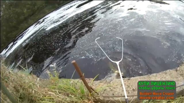 Ловля рыбы на донку и болонскую удочку в реке Шелонь.