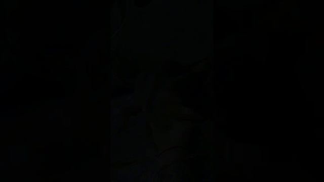 1000032569.mp4