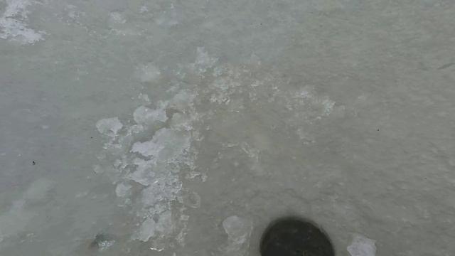Мокрый первый лёд...