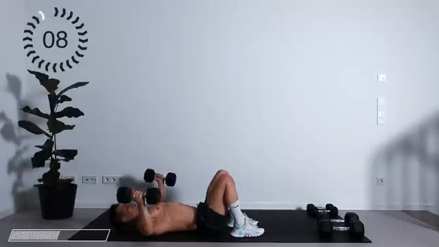 40 min FULL BODY  DUMBBELL workout Build Muscle (🦾HIGH IMPACT🦾)