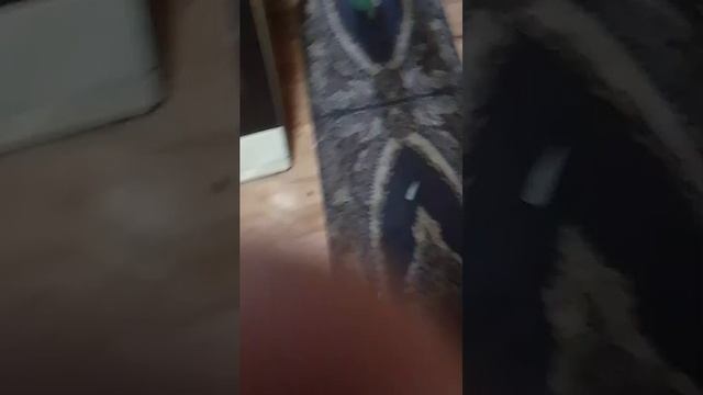 виллрьььл