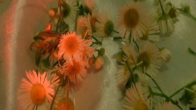 Анатолий Кулагин - Колыбель Любви