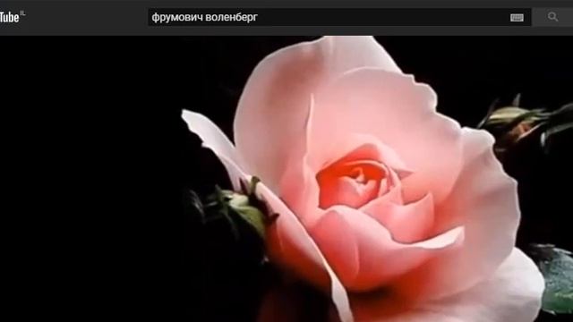 ЗАБЫТЫЕ КОНЦЕРТЫ ОП-24, Концерт 027,Г. Воленберг в ОП,  муз. и исп. С. Фрумович