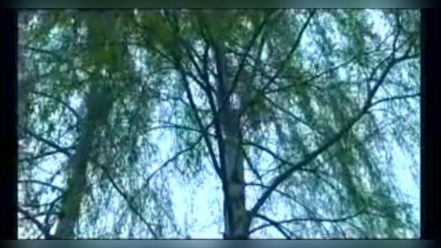 Надежда Швец - Весна победы, 2010. Официальный клип