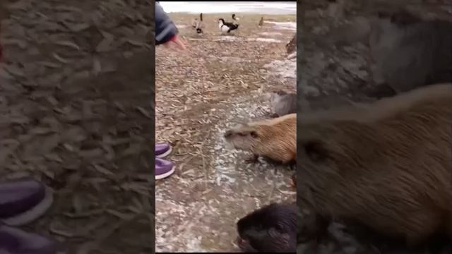 1000004324.mp4
