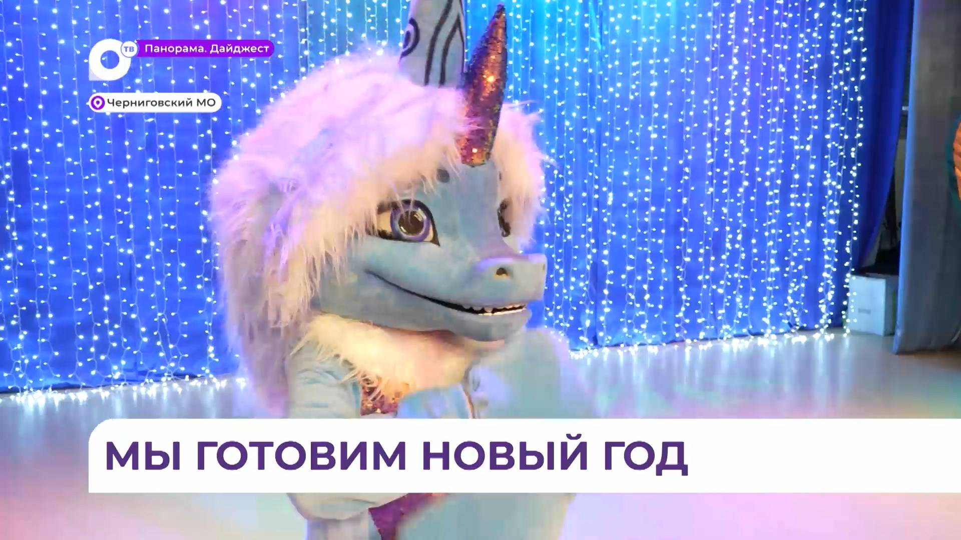 В Черниговке готовятся к ежегодному слёту Дедов Морозов и Снегурочек