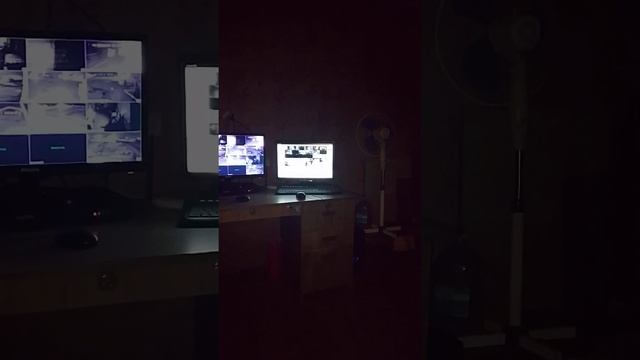 19 декабря 2024 г.