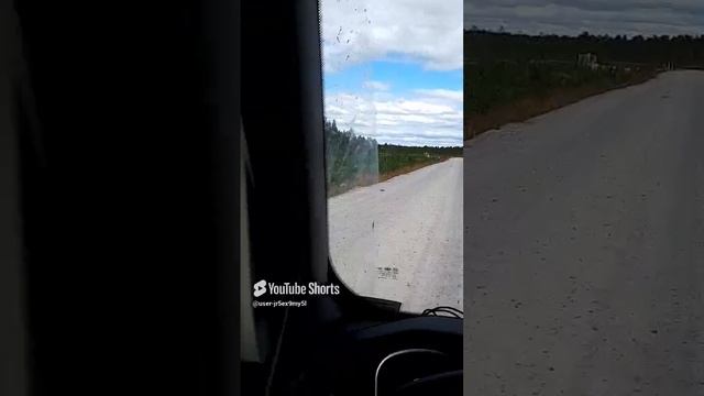 1000019163.mp4