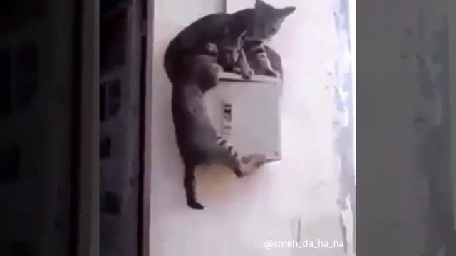 Здесь троим мало места
