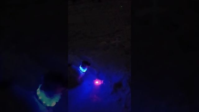 лазерное шоу с Мишель