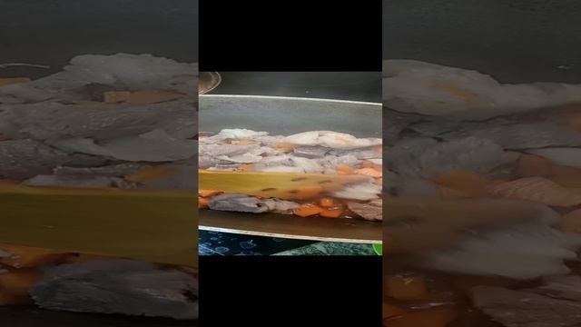 1000065444.mp4