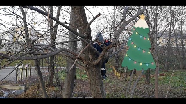 Приключения Дани и Алисы. Аквариум. Речка. Залезаем на дерево. Бежим от монстра. Видео для детей.