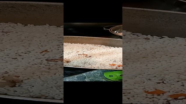 1000065450.mp4