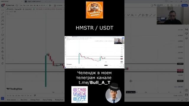 Куда пойдет Hamster - аналитика, теханализ #shorts #криптовалюта #hamsterkombat #инвестиции #hmstr