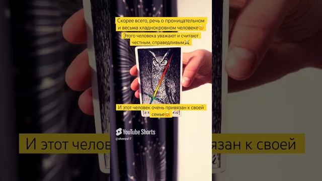 🤨#картадня #cardoftheday #таро #tarot #совет #таропрогноз #сова