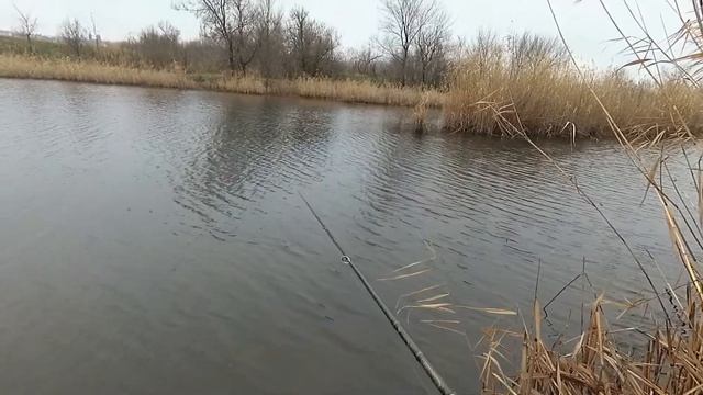 Рыбалка. Ловля Щуки в окрестностях г. Ростов-на-Дону. Рыбалка на спиннинг