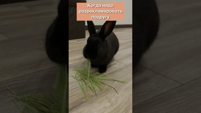 Реклама подруги😻