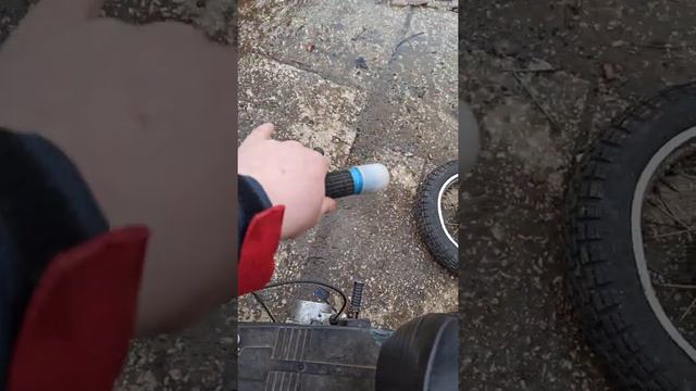 Рига Стелла