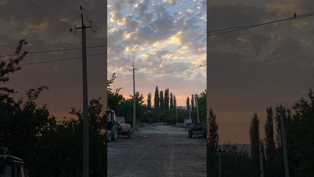 1000014179.mp4