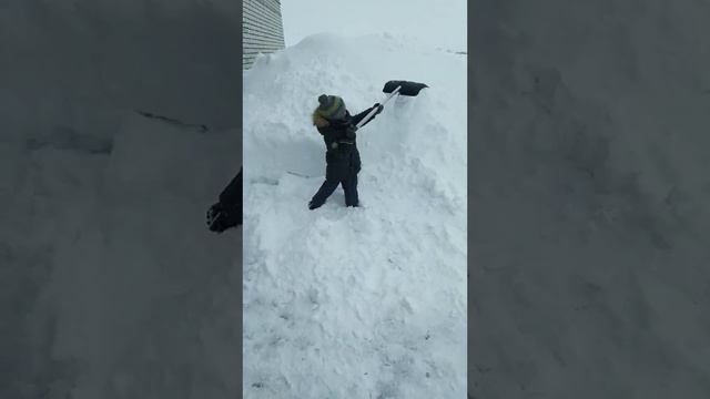 Помощник 🔥🔥🔥🔥🔥