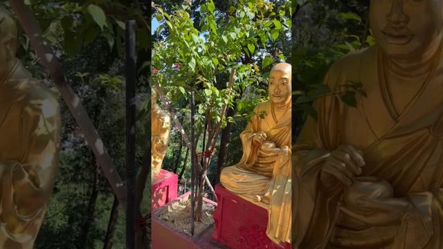 Каждый может стать Буддой. Храм 10.000 Будд в Гонконге. Психологический туризм.