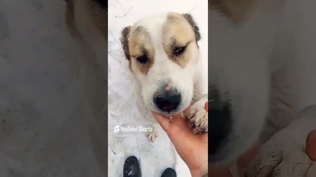 утро на деревне ☀️ Куба безпредельщица☺️