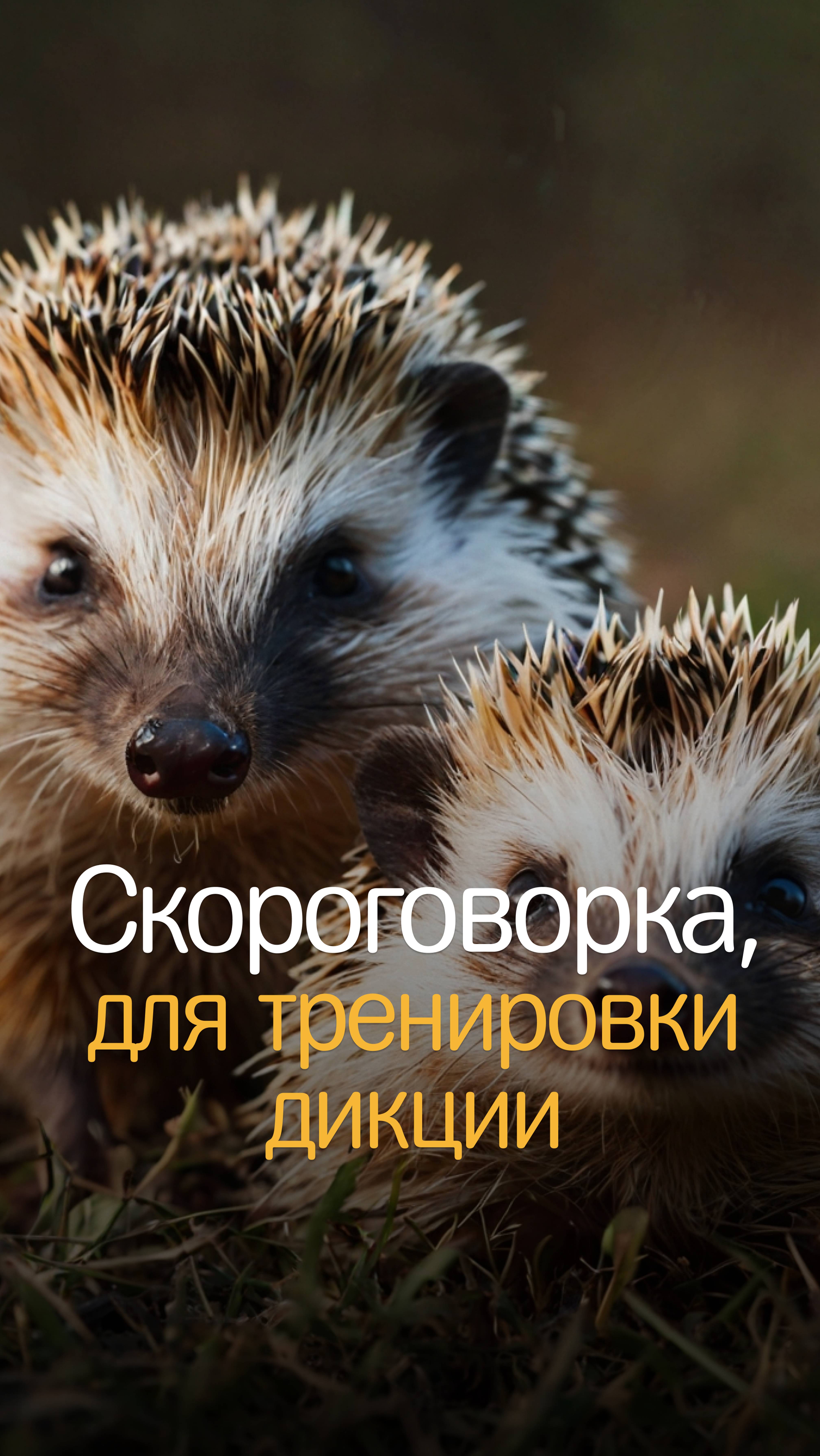 Cкороговорка