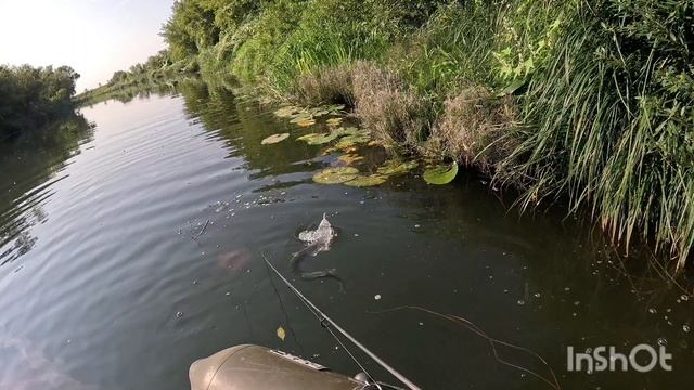 Выходные на воде. Взял щучку