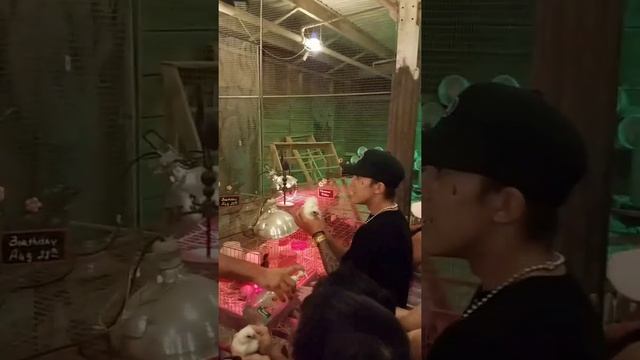 Smile because they're filming you (697)