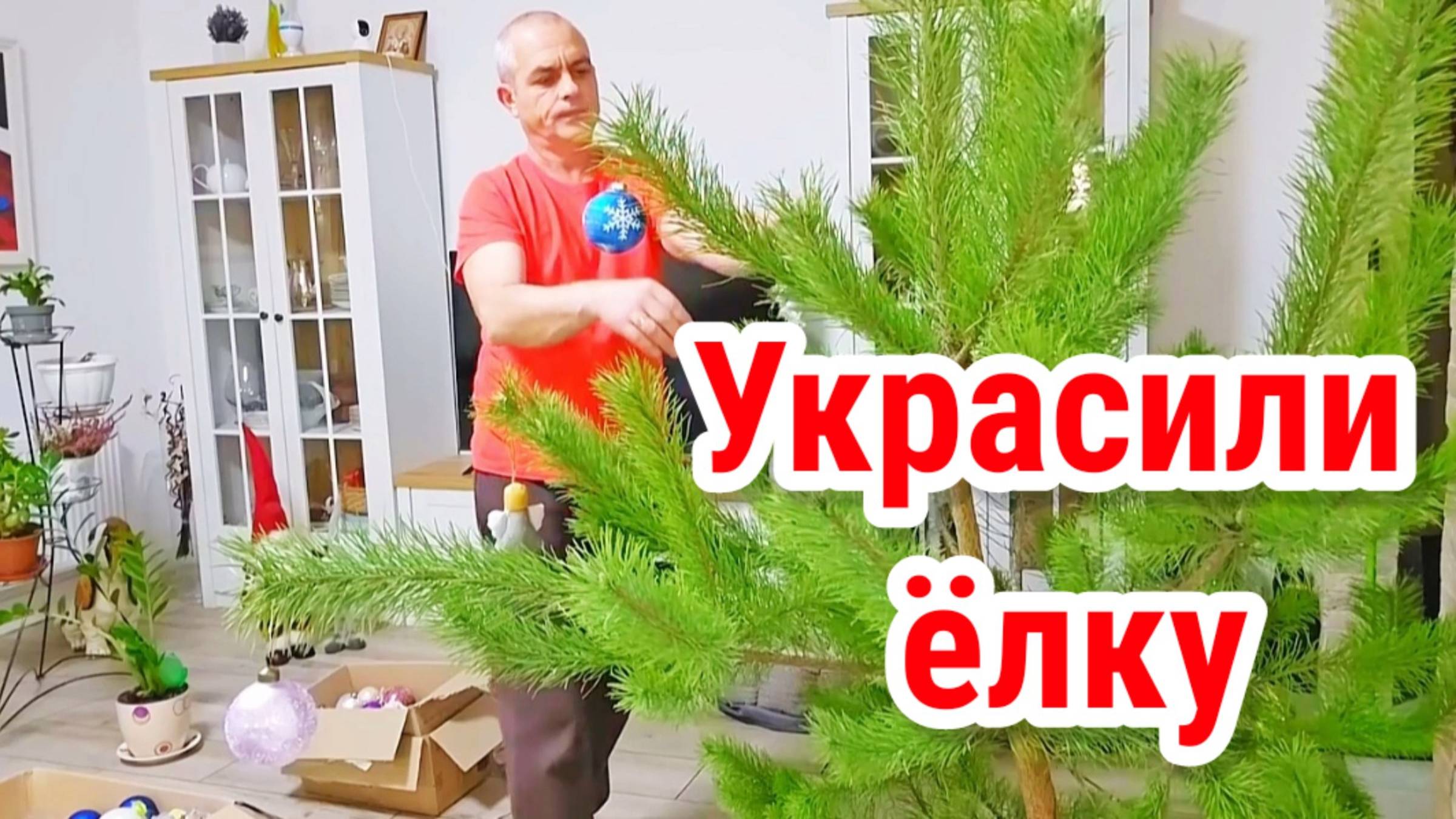 Украсил Ёлку. Разбил игрушку
