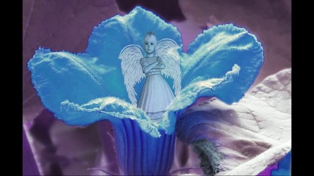 ЗимниеЦветы1
