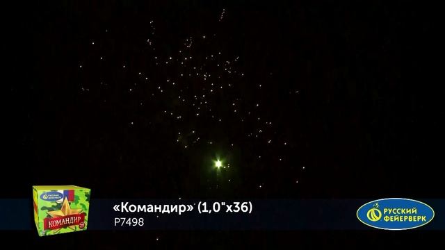 БС Командир P7498