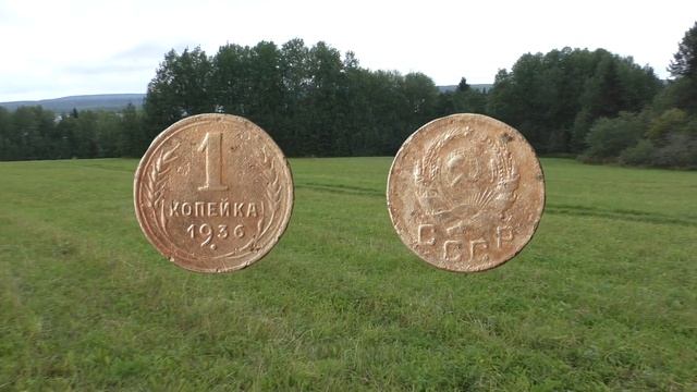 Покос